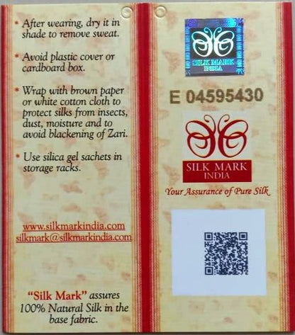 Gachi Tussar Multicolor Thread Work Maa Durga Theme Kantha Stitch Saree